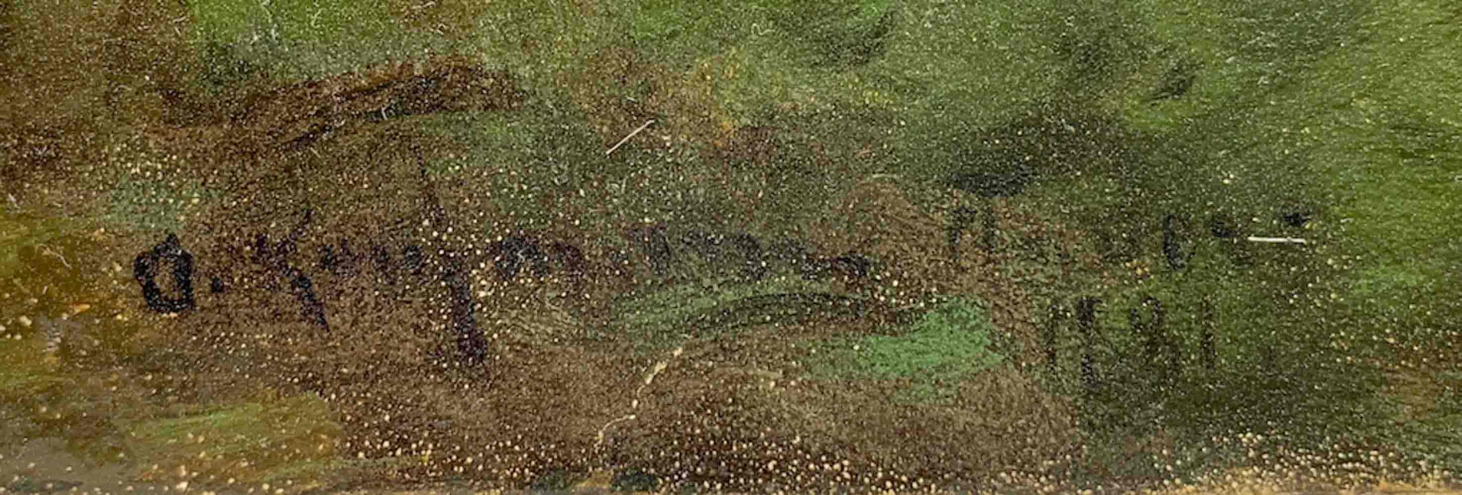 Adolf KAUFMANN (1848-1916) Austrian - Czech